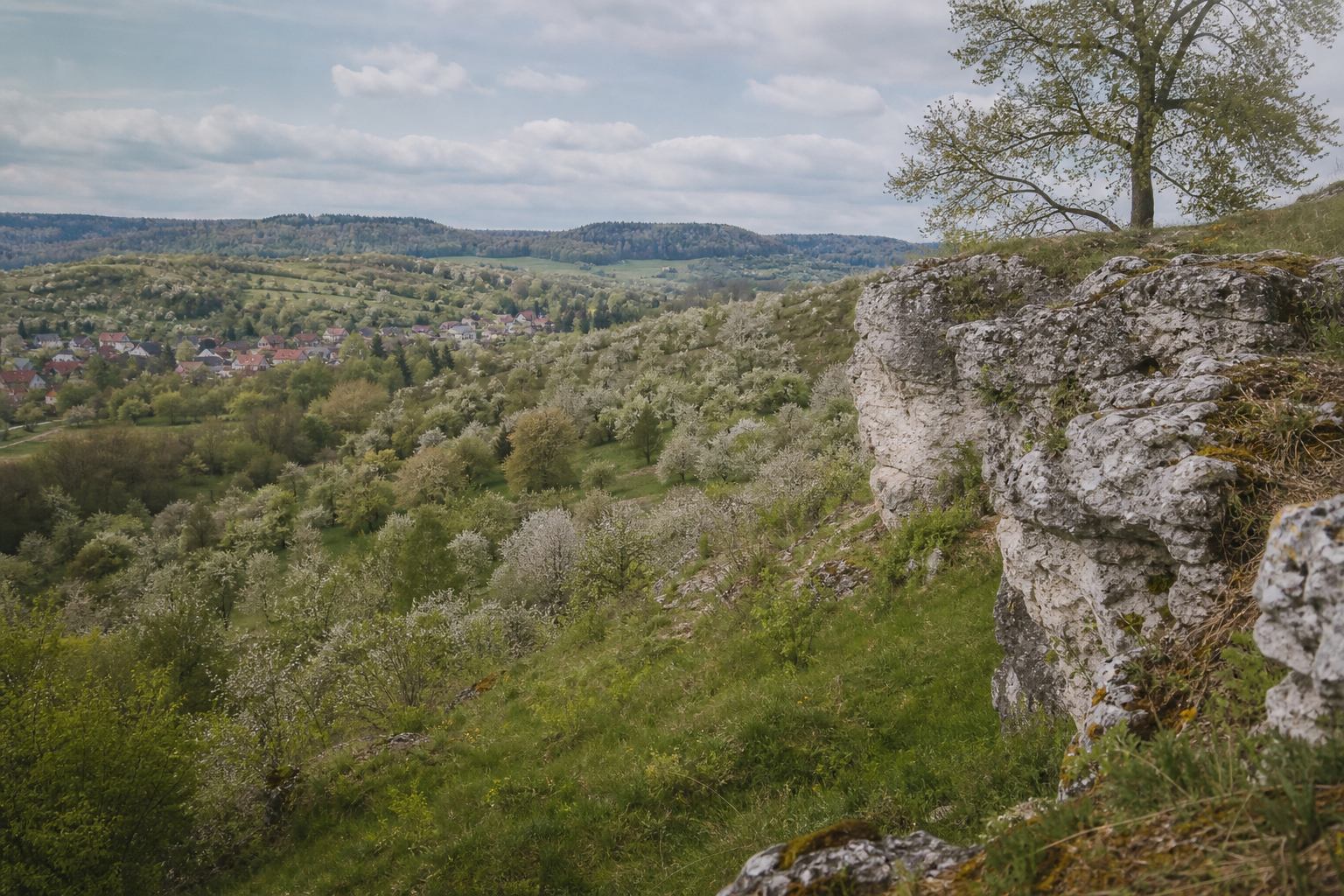 Kalkhügel und Obstwiesen in einer hellen deutschen Landschaft